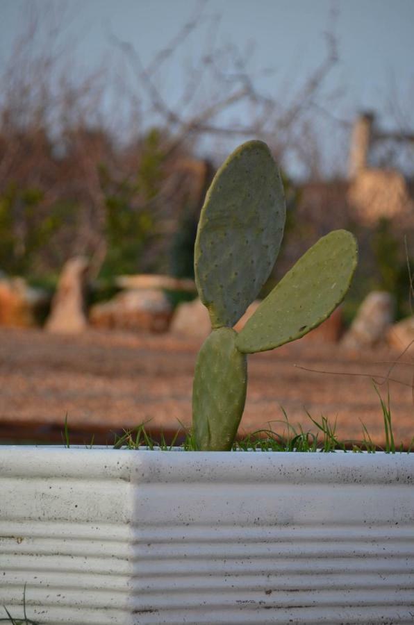 Masseria Poli Country House Κονβερσάνο Εξωτερικό φωτογραφία